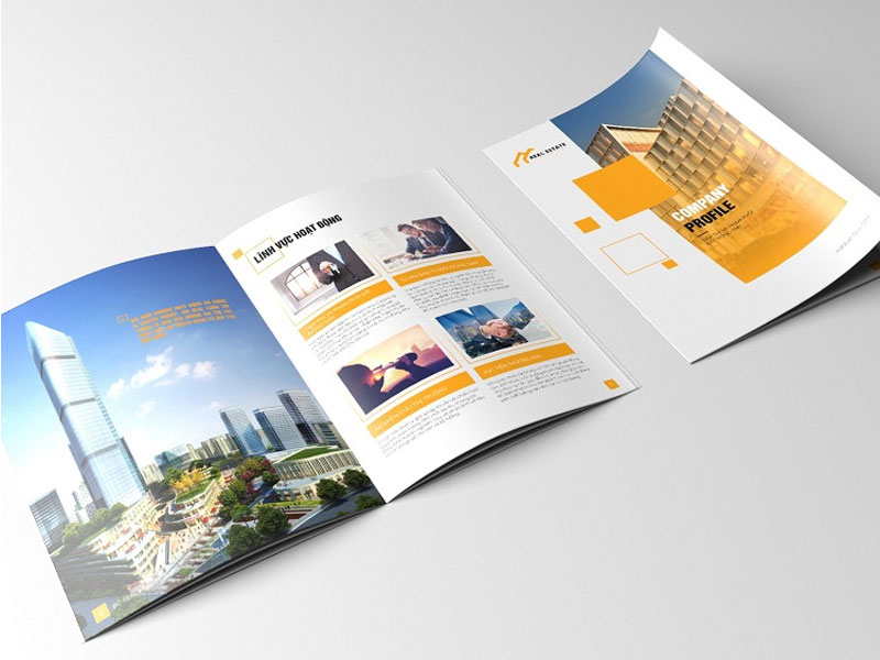 THIẾT KẾ CATALOGUE, PROFILE VÀ BROCHURE